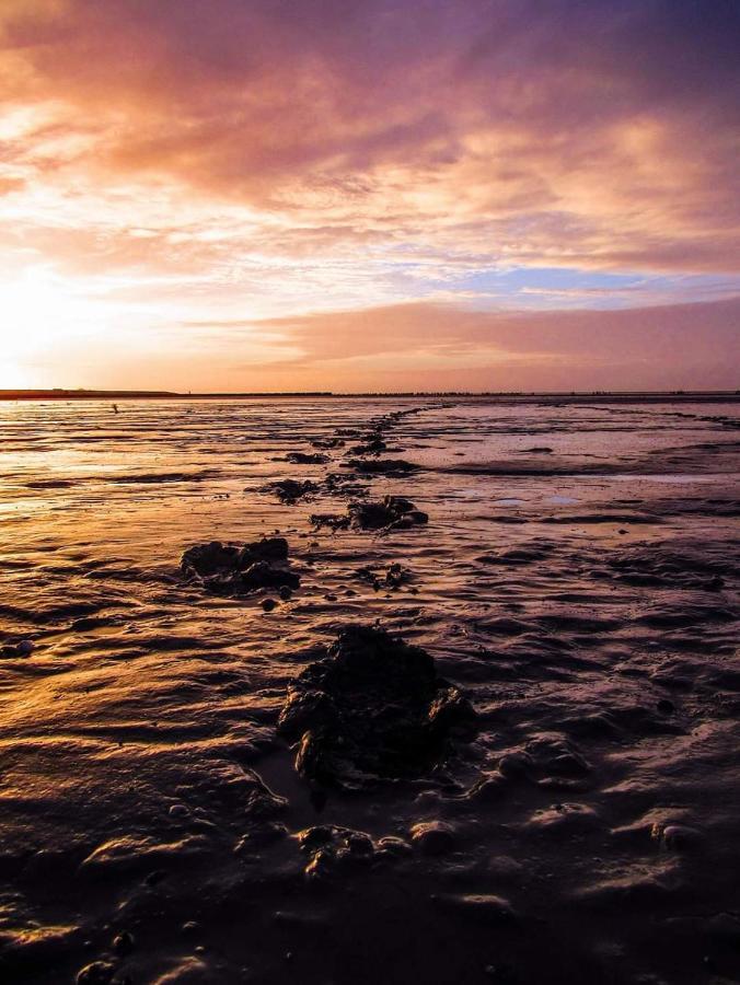 Vissershuisje Aan De Waddenzee Paesens Exteriör bild