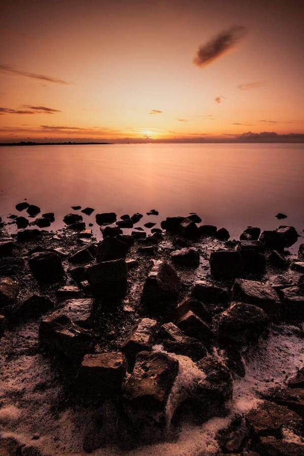 Vissershuisje Aan De Waddenzee Paesens Exteriör bild